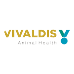 Collection image for: Vivaldis Brand