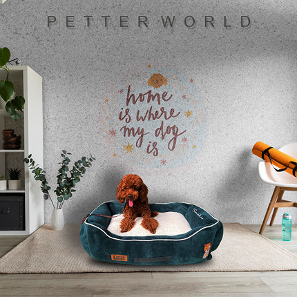 Petter World Ultra Luxury Micro Lounger Bed With Removable Sherpa for Dogs (Green)