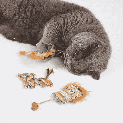FOFOS Interactive Catnip Chic Toy for Cats