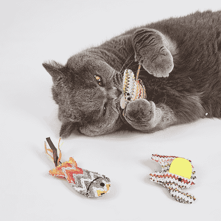 FOFOS Interactive Catnip Chic Toy for Cats