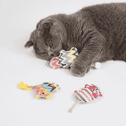 FOFOS Interactive Catnip Chic Toy for Cats