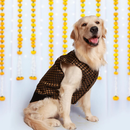 Pet Set Go Kurta for Dogs (Black)
