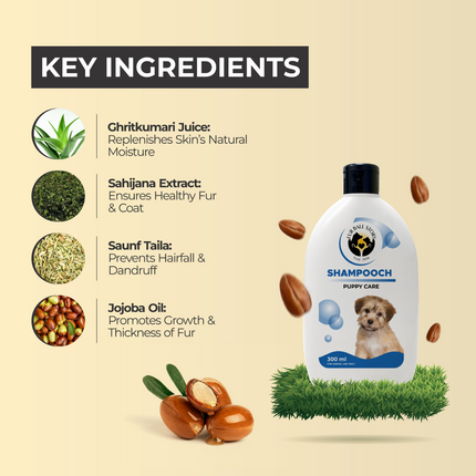 FurBall Story Shampooch Puppy Care Shampoo for Puppies