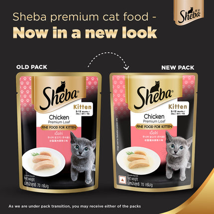 Carniwel Ocean Fish and Krill Dry Food and Sheba Chicken Loaf Rich Premium Kitten (2 to 12 Months) Fine Cat Wet Food Combo