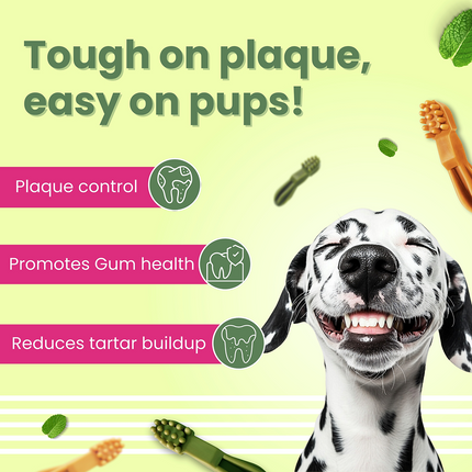 Bark Out Loud by Vivaldis Gluten Free Chicken Dental Sticks Dog Treats