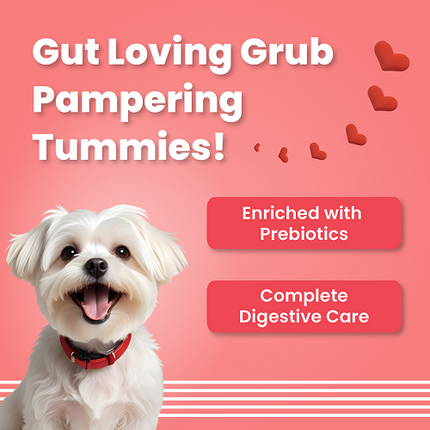 Bark Out Loud by Vivaldis Red Hearts Spanish Dog Treats
