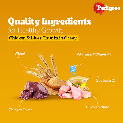 Pedigree PRO Expert Nutrition Active Adult (18 Months Onwards) Large Breed and Chicken and Liver Chunks in Gravy Wet Adult Dog Food Combo
