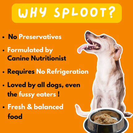 Sploot Meals Chonky Chimken Chicken and Brown Rice Dog Wet Food