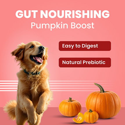 Bark Out Loud Collagen Protein Bar Chicken & Fish Treat for Dogs (Christmas Edition)
