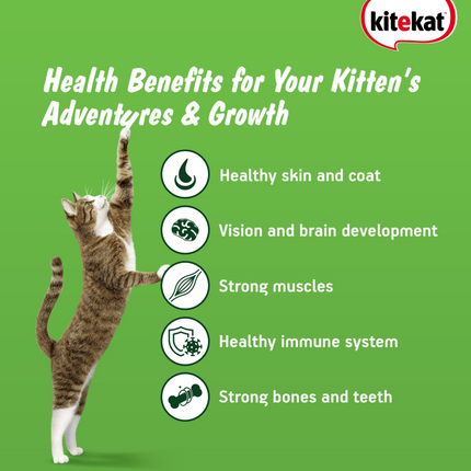 Kitekat Ocean Fish Kitten Dry Food (Limited Shelf Life)