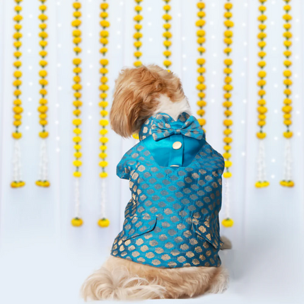 Pet Set Go Kurta with Bowtie  for Dogs (Blue)
