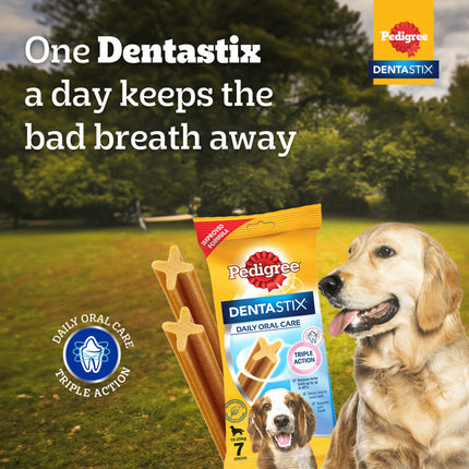 Pedigree Dentastix Oral Care for Adult (Large Breed of 25 kg+) and Henlo Chicken Jerky Dog Treats Combo
