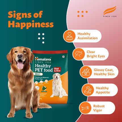 Himalaya Meat & Rice Healthy Pet Dry Food and Chicken Healthy Treats Adult Dog Combo
