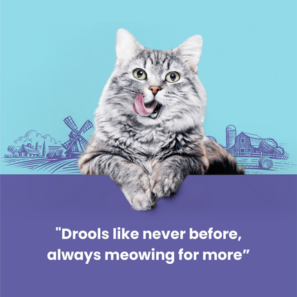 Catfest Pillows with Chicken and Salmon Cream Cat Treats Combo