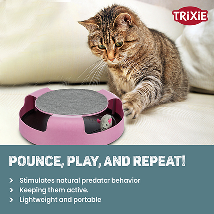 Trixie Catch The Mouse Toy for Cats (Pink)