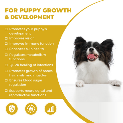 FurBall Story Cannivin Healthy Bones & Teeth Oral Nutritional Spray for Dogs