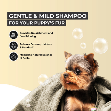 FurBall Story Shampooch Puppy Care Shampoo for Puppies