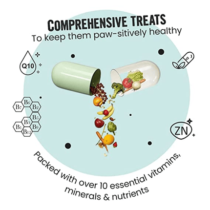 Healing Leaf Hemp Protein Powder and Bark Out Loud Immunity Multi Vitamin Chew Stix for Dogs and Cats Combo