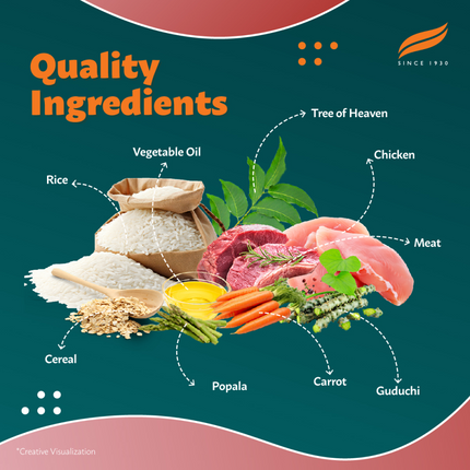 Himalaya Meat & Rice Healthy Pet Dry Food and Chicken Healthy Treats Adult Dog Combo