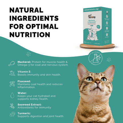 PetStrong Mackerel and Seaweed in Gravy Cat Wet Food