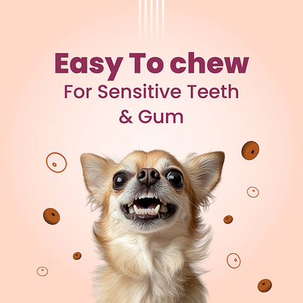 Bark Out Loud Chicken Rings Soft Chews Dog Treats