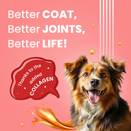 Bark Out Loud Collagen Protein Bar Chicken & Fish Treat for Dogs (Christmas Edition)