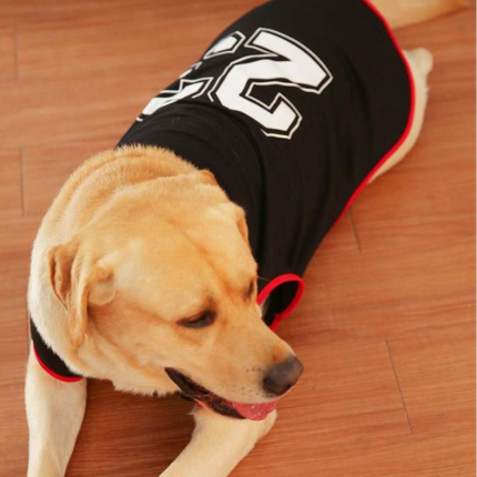 Talking Dog Club Player Ltd Edition Sports Jersey for Dogs (Black)