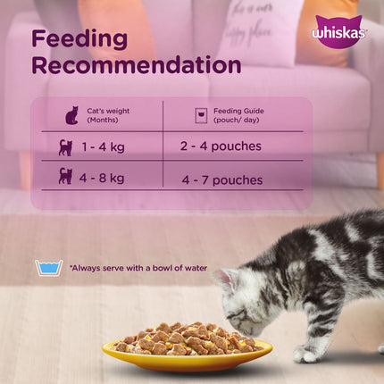 Whiskas Chicken with Salmon in Jelly Kitten (2-12 Months) Cat Wet Food