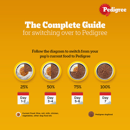 Pedigree PRO Expert Nutrition Active Adult (18 Months Onwards) Large Breed and Chicken and Liver Chunks in Gravy Wet Adult Dog Food Combo