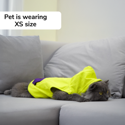 Skatrs Galaxy Breezy Vest with Pockets for Dogs and Cats (Green)