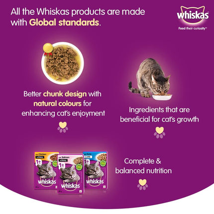 Whiskas Chicken in Gravy Meal Kitten Wet Food and Ocean Fish Kitten Dry Food Combo