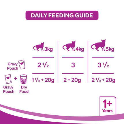 Whiskas Salmon in Gravy Meal and Tuna in Jelly Meal Adult Cat Wet Food Combo