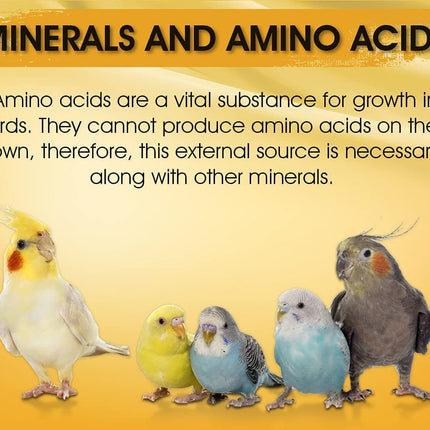 Boltz Immunity Booster for All Birds