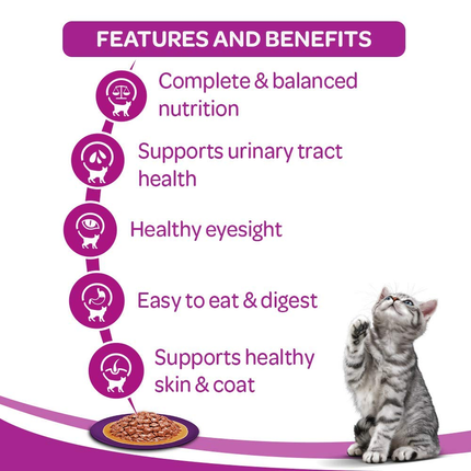 Whiskas Salmon in Gravy Meal and Tuna in Jelly Meal Adult Cat Wet Food Combo