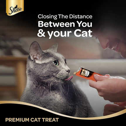 Me O Creamy Chicken & Liver and Sheba Tuna Flavor and Tuna & Prawn Maguro Selection Melty Premium Cat Treats Combo