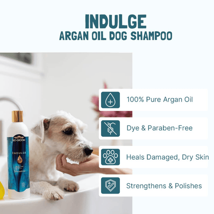 Bio Groom Indulge Sulfate Free Pure Argan Oil Shampoo for Dogs and Cats