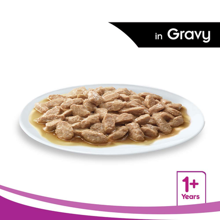 Whiskas Salmon in Gravy Meal and Tuna in Jelly Meal Adult Cat Wet Food Combo