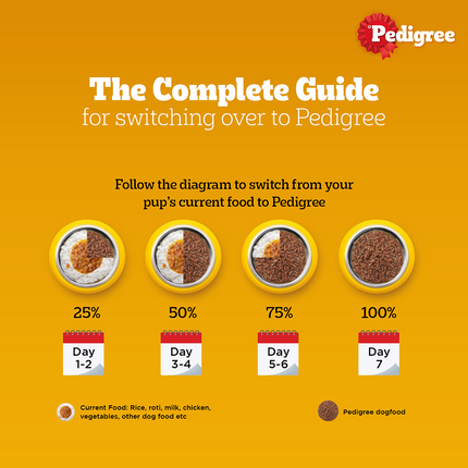 Pedigree Chicken Chunks in Gravy Pouch Puppy Dog Wet Food (130g)