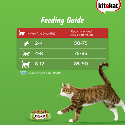 Kitekat Ocean Fish Kitten Dry Food (Limited Shelf Life)