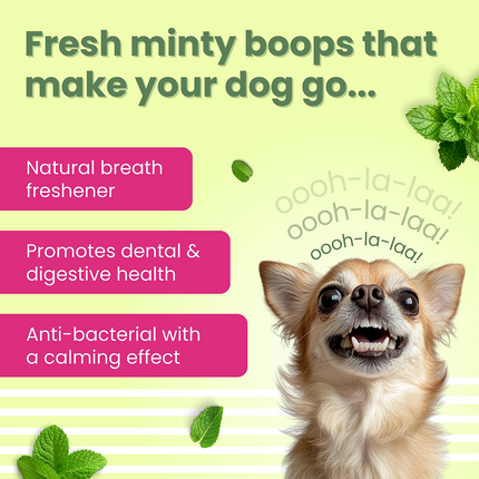 Bark Out Loud by Vivaldis Gluten Free Chicken Dental Sticks Dog Treats