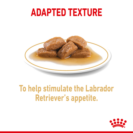 Henlo Baked Adult Dry Food and Royal Canin Chunks In Gravy Labrador Retriever Adult Wet Dog Food Combo