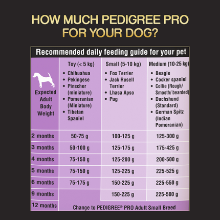 Pedigree PRO Expert Nutrition Small Breed Puppy Dry and Chicken Chunks in Gravy Puppy Wet Food Combo