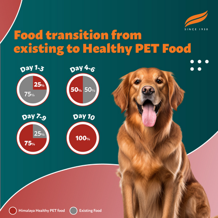 Himalaya Meat & Rice Healthy Pet Dry Food and Chicken Healthy Treats Adult Dog Combo