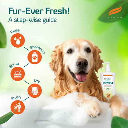 Himalaya Digestive Stimulant Digyton Drops and Erina EP Tick and Flea Shampoo for Dogs and Cats Combo
