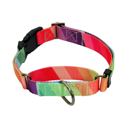 Glucklich Martingale Printed Adjustable Collar for Dogs (Rainbow)
