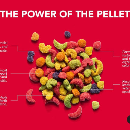 ZuPreem Fruit Blend Bird Food for Parrots and Conures