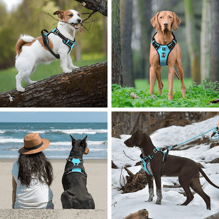 Hank 3M Reflective Harness for Puller Dogs (Cyan Blue)