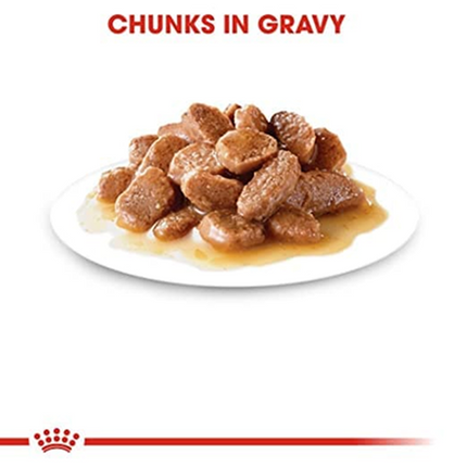 Royal Canin Sterilised 37 and Sterilised Gravy Adult Cat Wet Food Combo