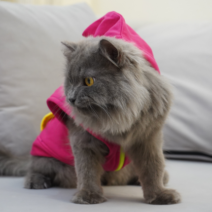 Skatrs Pop Breezy Vest with Pockets for Dogs and Cats (Pink)