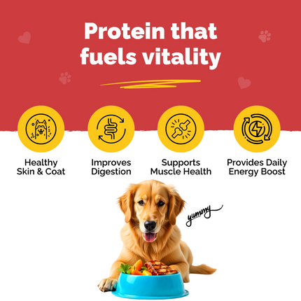 PetStrong Chicken and Rice Fresh Food and 2.2  Meal Protein Booster for Dogs Combo